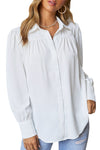 Women’s V Neck Long Sleeve Chiffon Balloon Sleeve Work Blouses