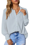 Women’s V Neck Long Sleeve Chiffon Balloon Sleeve Work Blouses