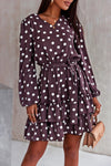 Brown Polka Dot Print Lace-up Ruffled Mini Dress